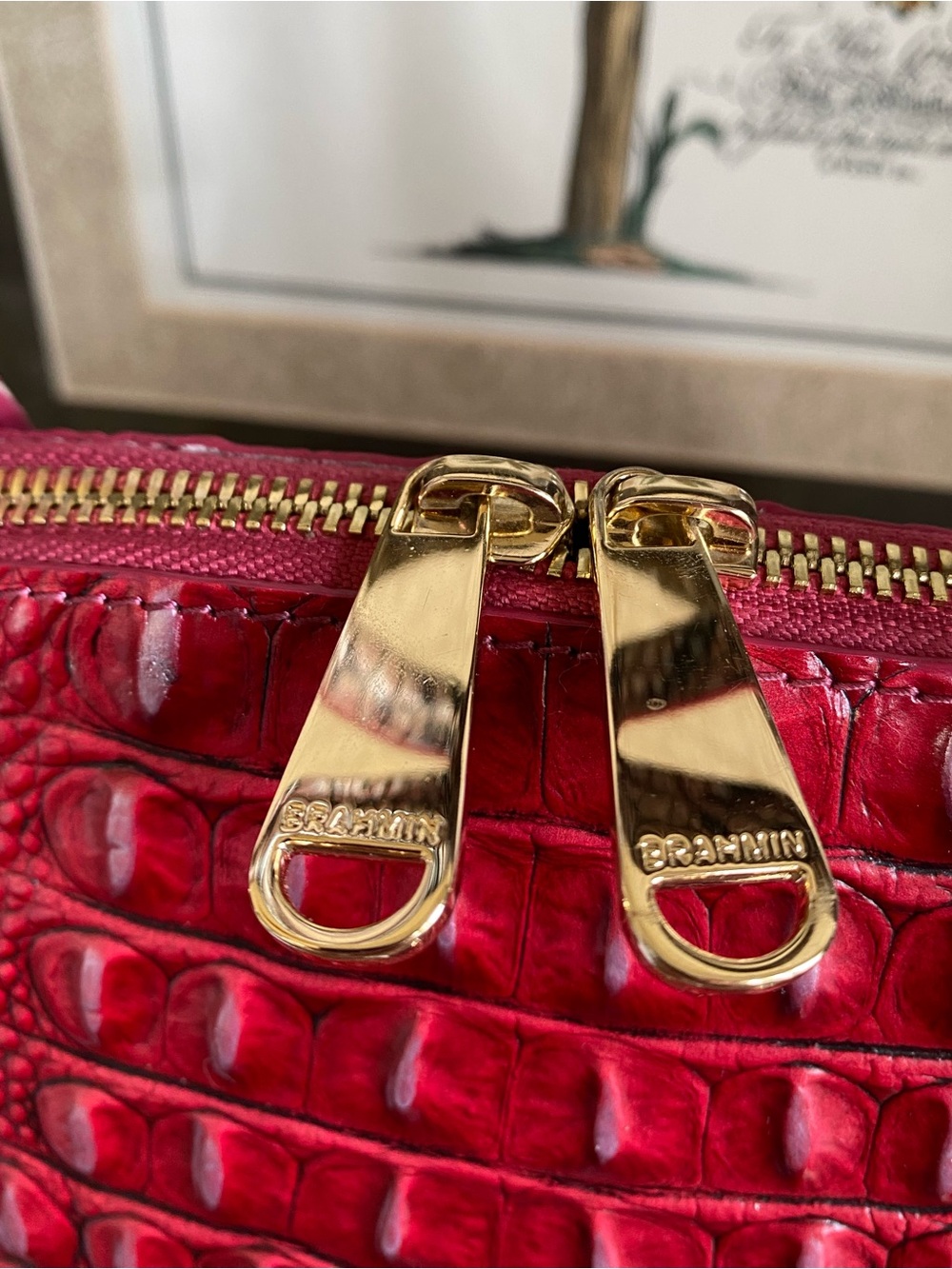 ♥️🐾Brahmin RUBY PROWL OMBRE Dome Satchel - Picture 4 of 14